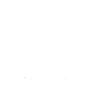 Логотип ОГА ПОУ Боровичский педагогический колледж